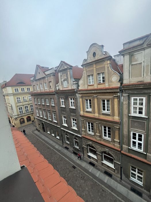 Wynajem pokoju  w centru Poznaniu