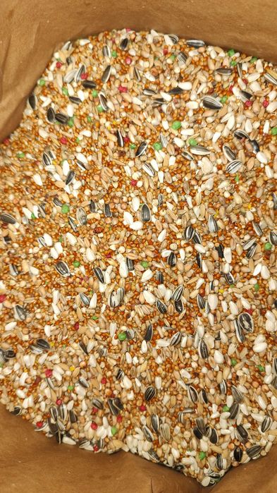 Karma dla Papug średnich + Papug Dużych Kampol 20 kg