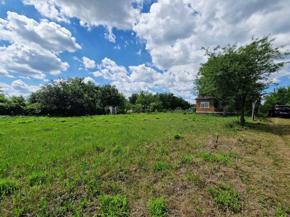 Дача в Березанці