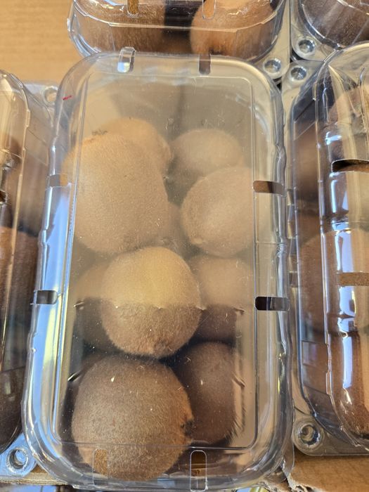 Caixas de kiwis deliciosos para entregas
