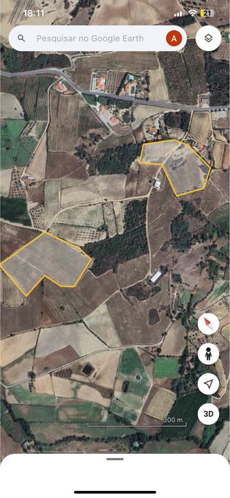 Terreno-Quinta em Caria 5 Hectares Vinha Rustico/Urbano
