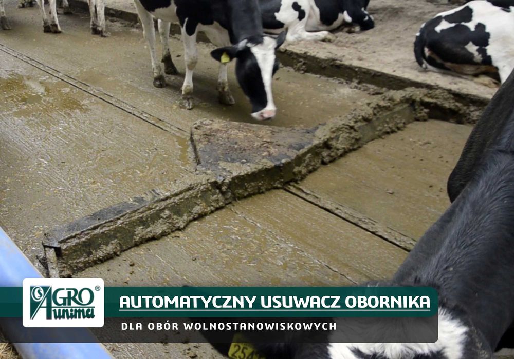 Automatyczny usuwacz obornika do obór wolnostanowiskowych Agrounima