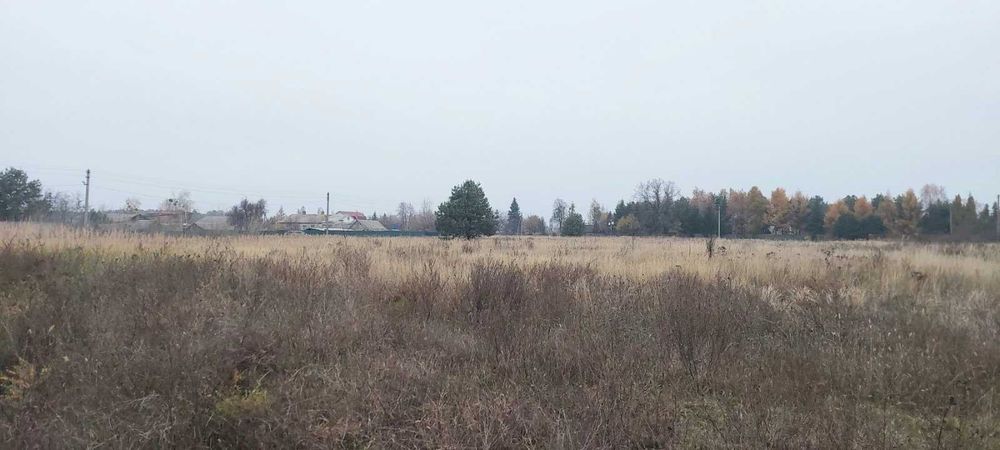 Вихід до води,  Сухолуччя, 22 сотки. Шикарне місце!
