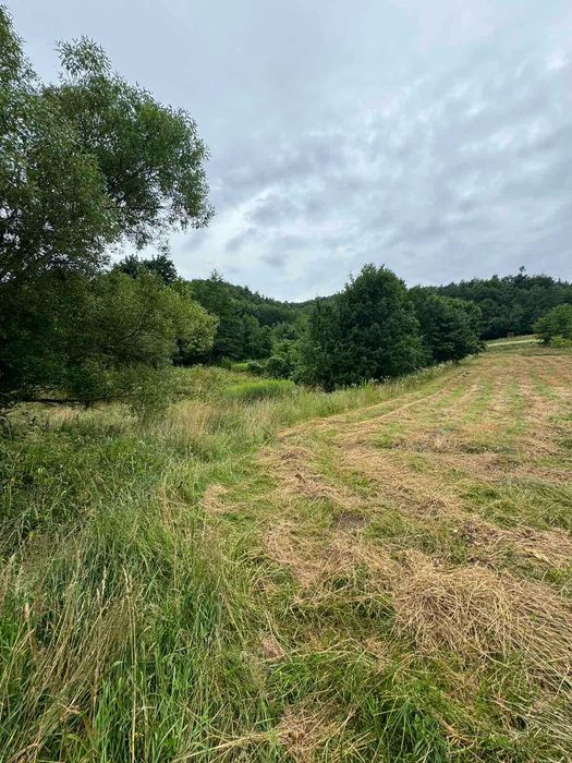 Земельна ділянка, с. Крехів