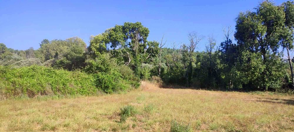 Terreno junto a Ribeira com água cristalina
