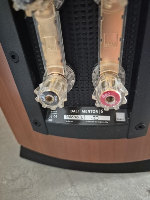 Kolumny Dali Mentor 6