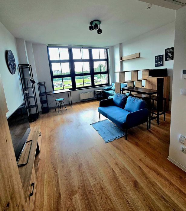 Apartament loftowy/ kawalerka, Psie Pole Bierutowska Park, Hydral 29,9m2, wyposażone, klimatyzacja, bezpośrednio