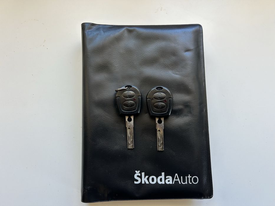 Skoda Fabia 1.2 gasolina | 2004 | 167.000 km | económico e fiável
