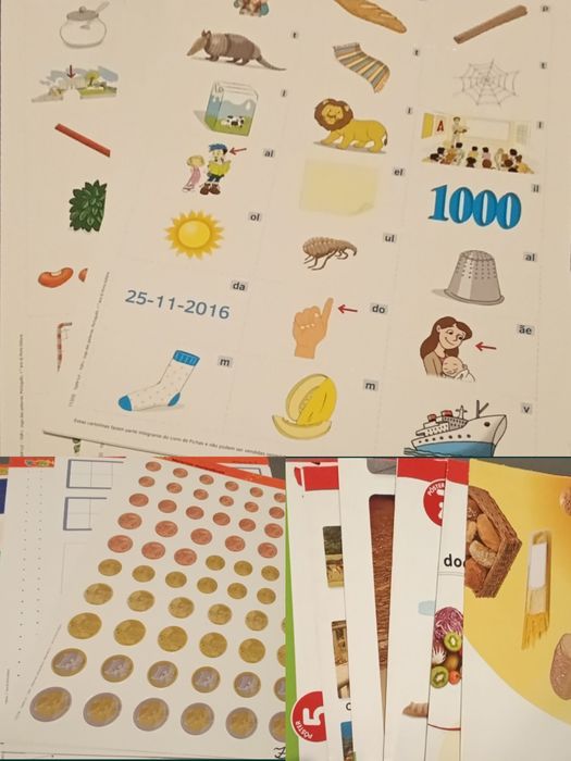 Livros, fichas, cartazes e suportes escolares 1 ano