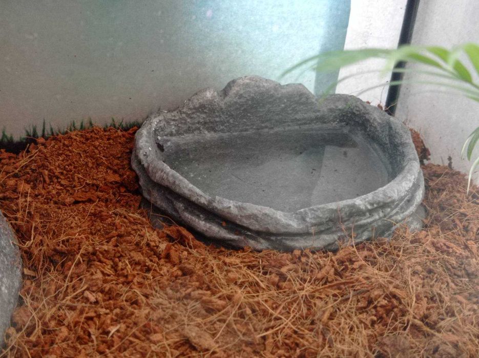 Продам водобад фонтан дляхамелиона и гекконов