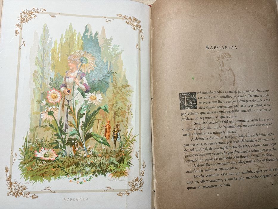 Conjunto de 2 antigos Livros “A vida das Flores” de 1883 - David Corazzi Editor Lisboa