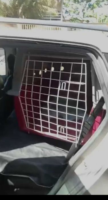 Caixa de trasporte pet
