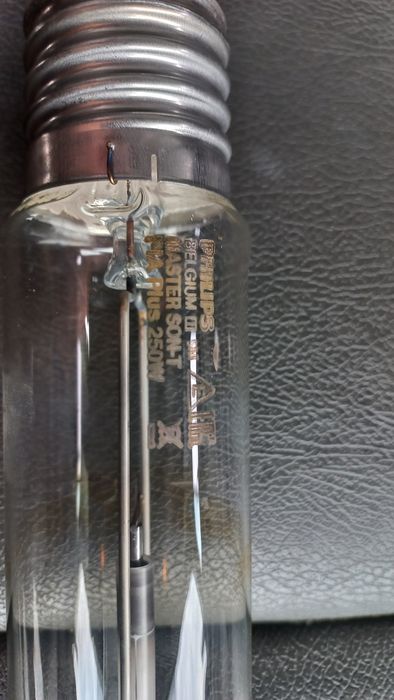 Lampada de vapor de sodio