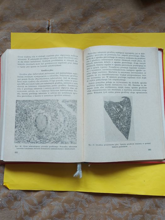 Książka PATOLOGIA 1973rok