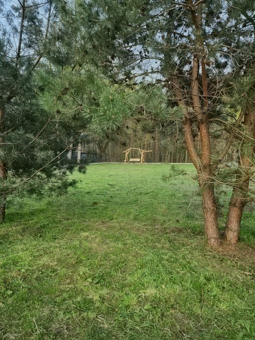 Działka budowlana Kozłow Biskupi - Widok 3