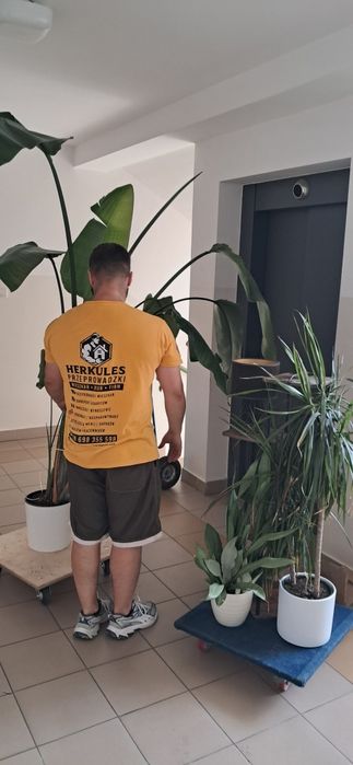 Transport IKEA AGATA JYSK  targówek od 99 zł