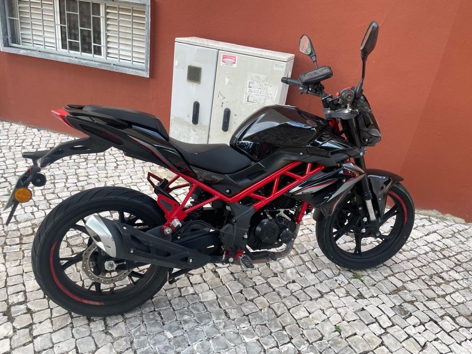 Mota benelli 2023