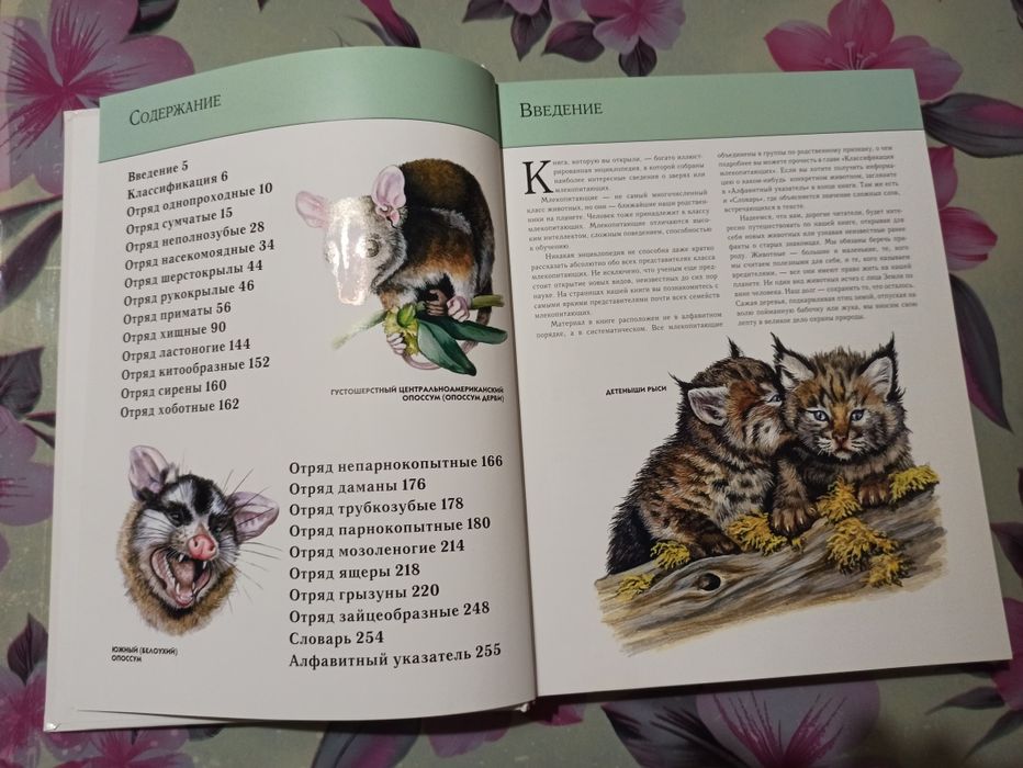 Книга-енциклопедія тварин (рос.)