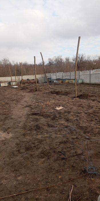 Улья Пустие вулики