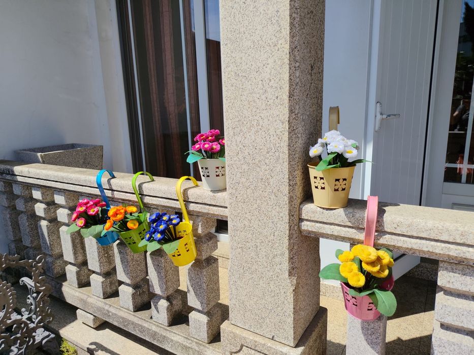 Seis suportes para vasos