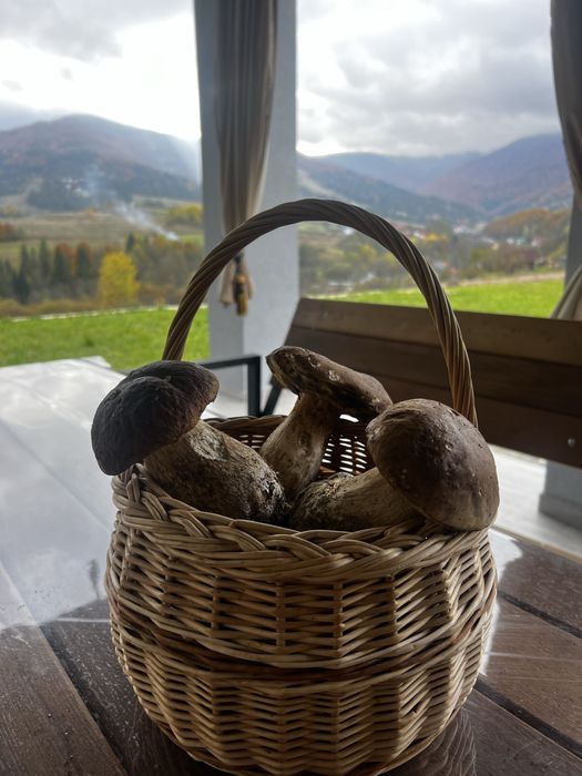 Будинок в горах оренда