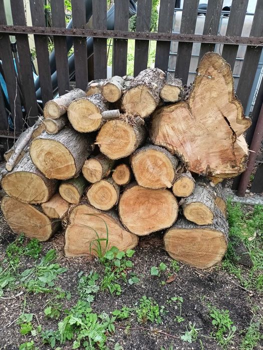 Drewno opałowe twarde - 1,5 m