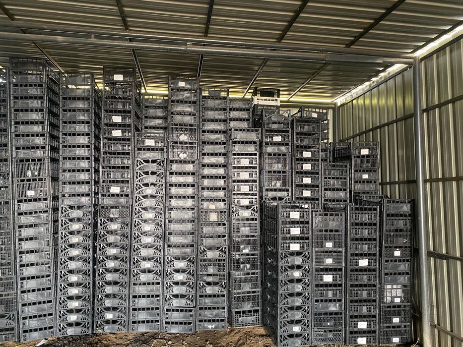 Skrzynki plastikowe 60x40