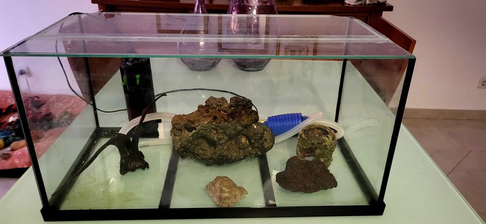 Vendo aquário  em condições