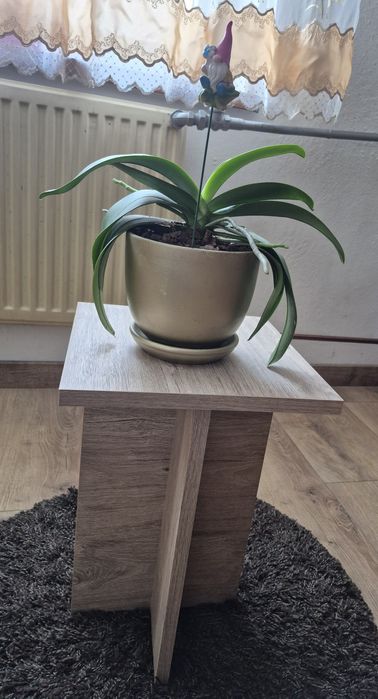 Taboret w jasnym kolorze