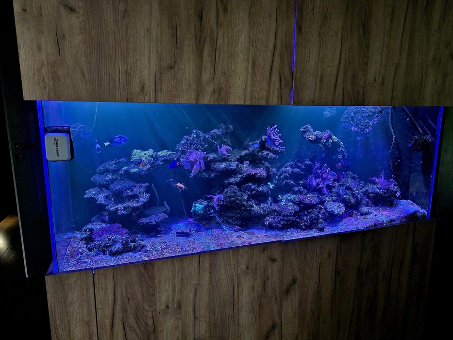 Akwarium Morskie 535 L szyba OptiWhite