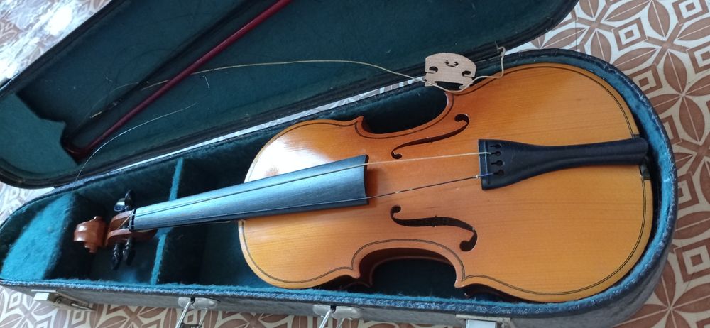 Скрипка у футлярі