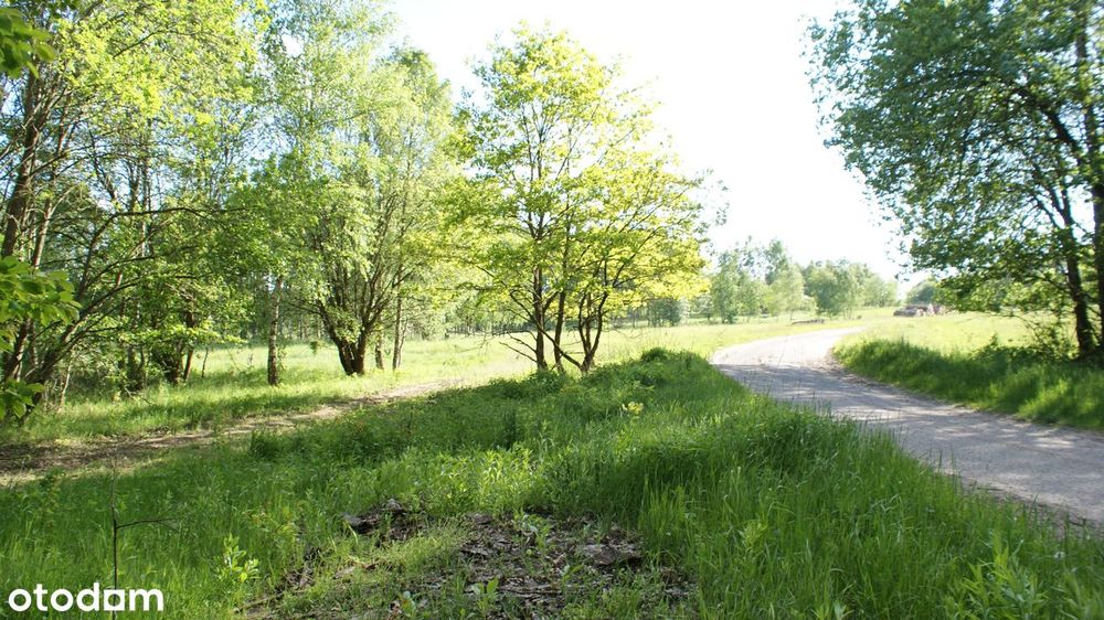 Działki - Ścienne - Ińsko