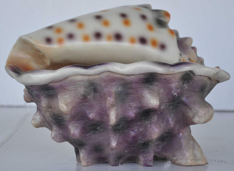 Nawilżacz Powietrza w Kształcie Muszli Generator Pary Powystawowy!