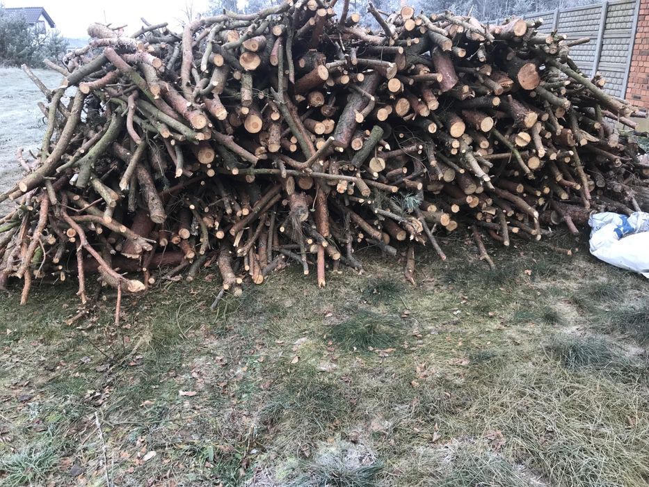 Drewno opałowe, sosna czeremcha