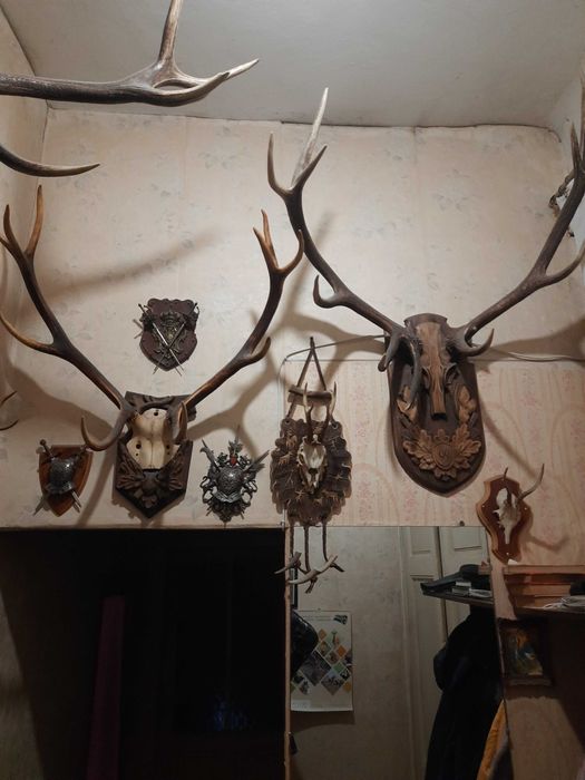 Трофейна колекція