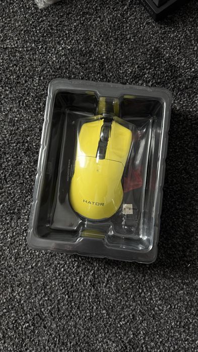 Мишка, в чудовому стані