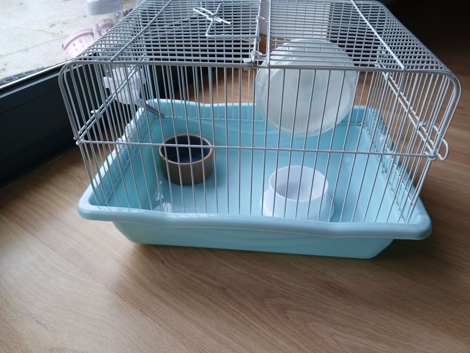 Kit completo hamster