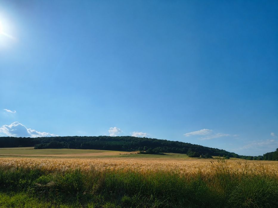 Działka budowlana Paszowice 15,29 arów - View 3