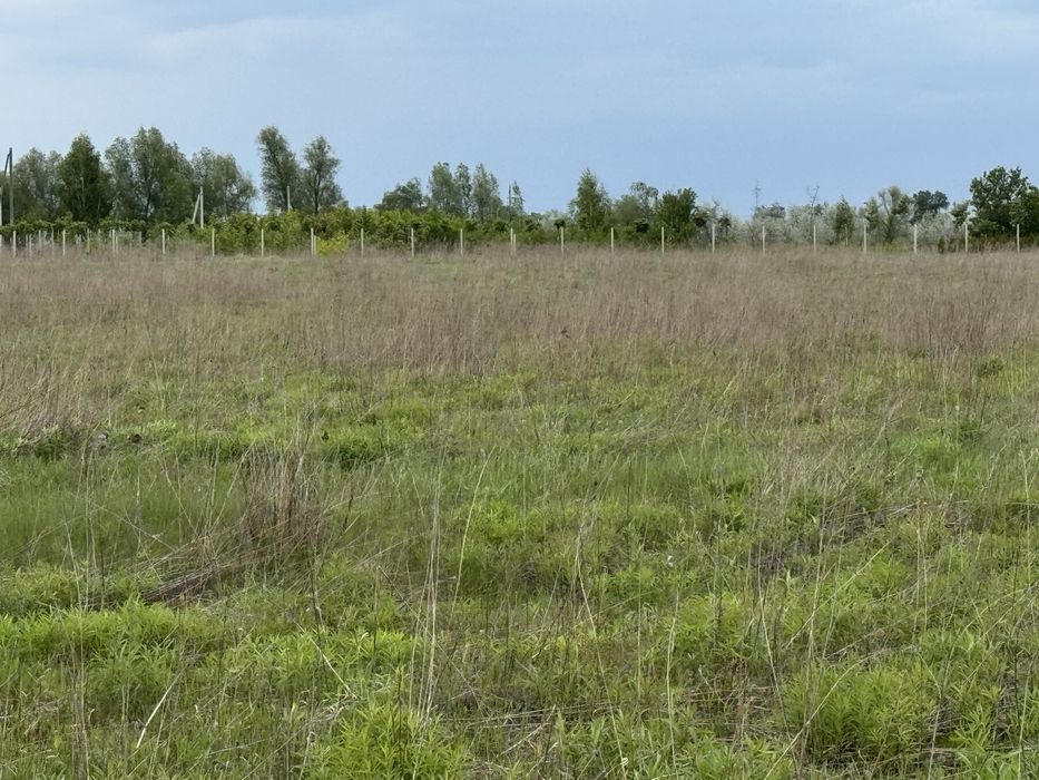 Земельна ділянка фасадна! 3га!! Бориспіль!