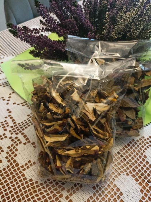 Borowik ceglastopory