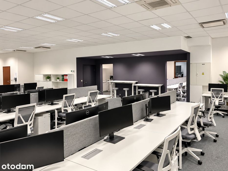 Przestronne biuro w centrum Wrocławia, 232,09 m2.