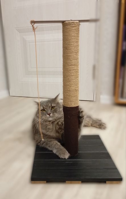 Когтеточка для котиков
