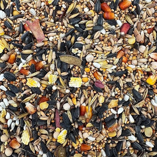 20kg Karma dla papug średnich papugi nimfa rozella pokarm STANDARD Cha