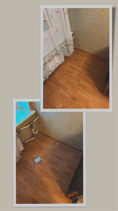 Прибирання квартир і будинків + хімчистка меблів | Недорого