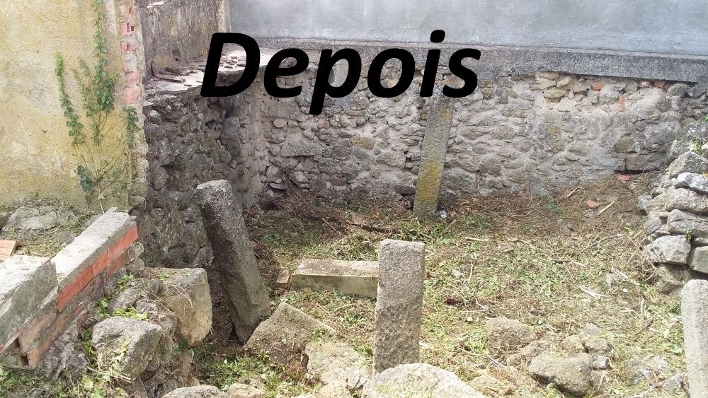 Limpeza de Terrenos, ruínas, mato junto a residências, etc