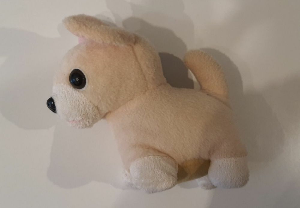 Pluszowy piesek chihuahua