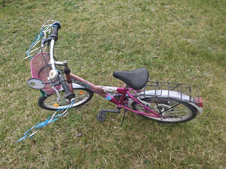 Różowy Rowerek dla dziewczynki koła 20 i 18 biegów Arkus Delta Fun