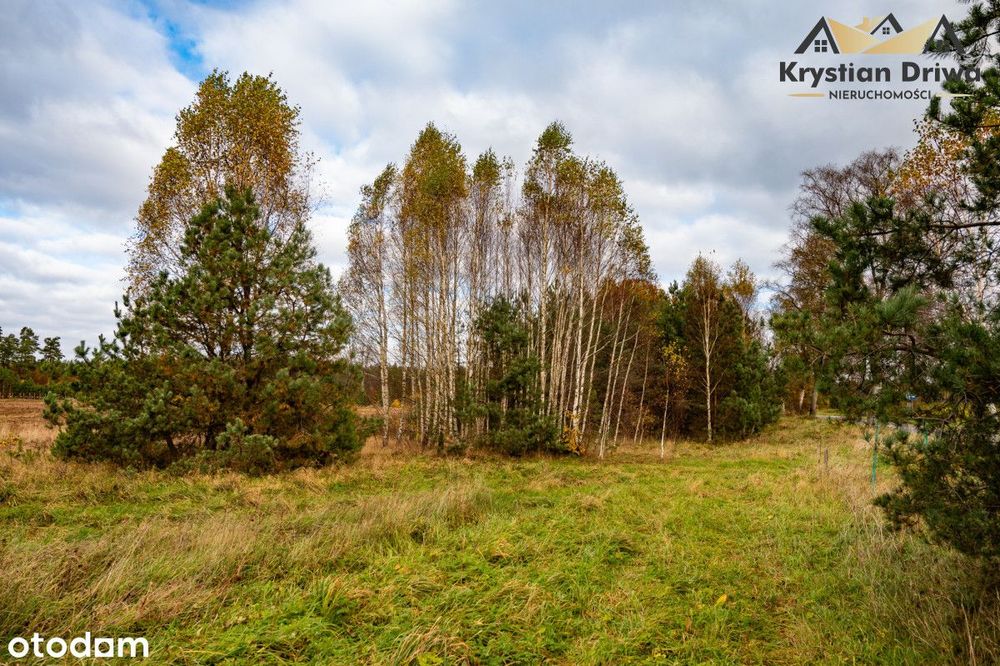 Działka z planem miejscowym - możliwość podziału!