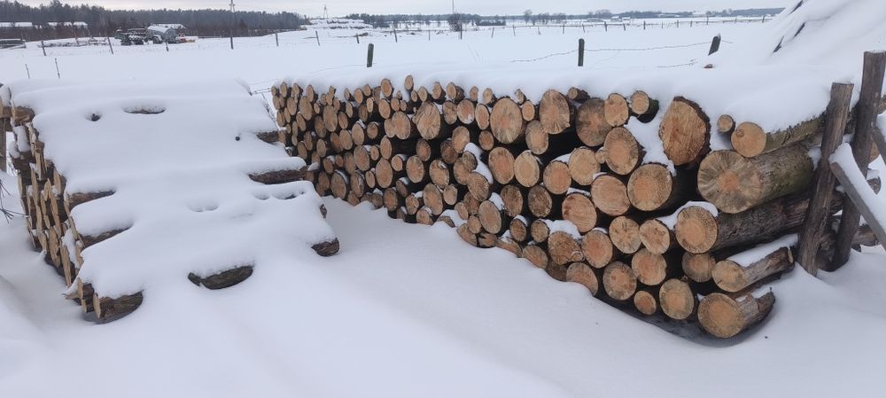 Drzewo opałowe iglaste i liściaste