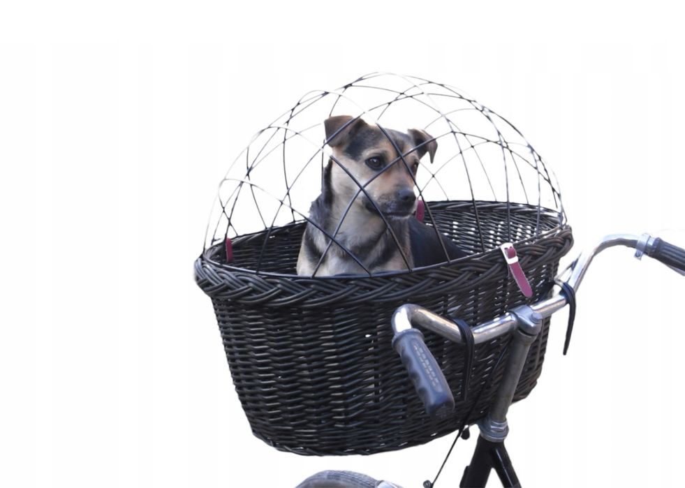 Duży transporter wiklinowy na rower dla psa